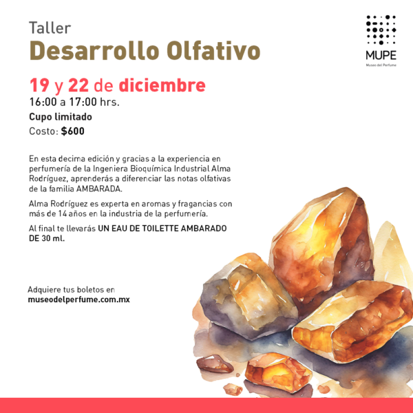 Desarrollo Olfativo Familia Ambarada