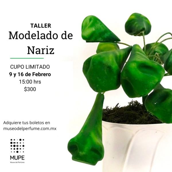 Modelado de Nariz