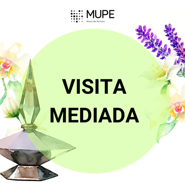 Visita mediada por curaduría en la colección del museo