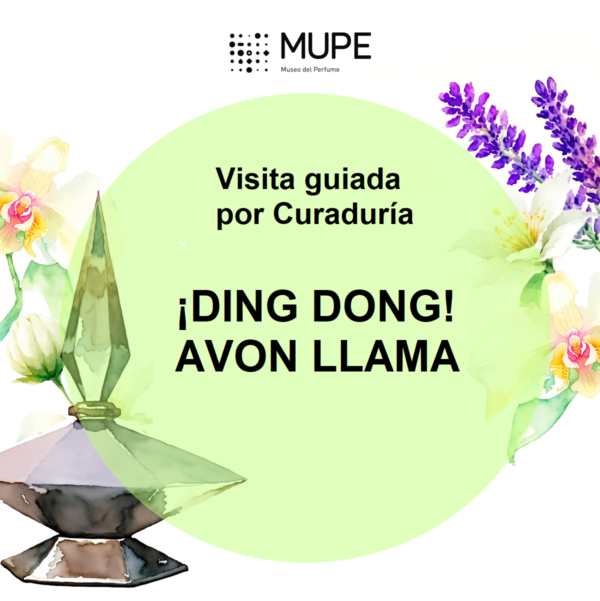 Visita guiada por Curaduría ¡Ding Dong! AVON LLAMA
