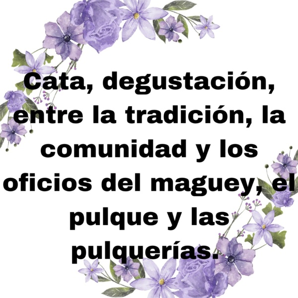 Cata degustación: entre la tradición, la comunidad y los oficios del maguey, el pulque y las pulquerías