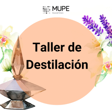 Taller de destilación